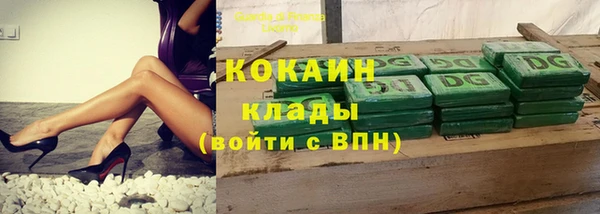 apvp Кукмор