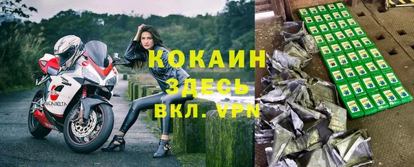 apvp Кукмор