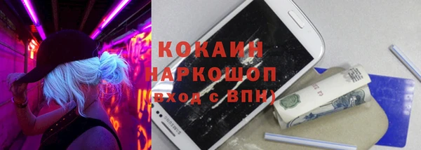 apvp Кукмор